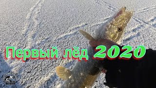 Первый лёд 2020-2021