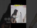 8時だョ！全員集合「歌番組コント」中森明菜の声がヤバい！＃ドリフ