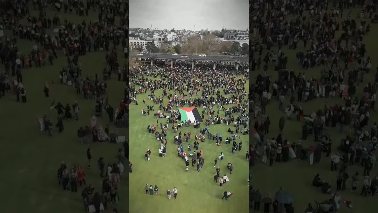 Auckland, Aotearoa, History was made. New Zealand witnessed its largest pro-Palestine protest ever🇵🇸