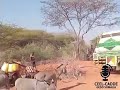 Gurmadka dadka tabaalaysan