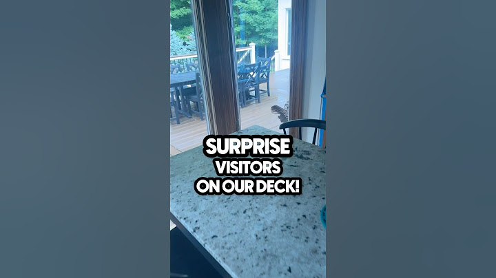 Unbelievable SURPRISE! 😮 We have a baby!!! #animals #babyanimals #cute #wildlife