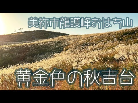 【秋吉台登山】黄金色の秋吉台 龍護峰とおはち山