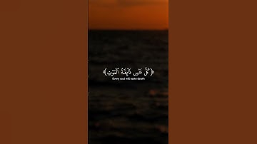 #ياعبادي الذين آمنوا ان ارضي واسعة #سورة العنكبوت #ياسر الدوسري #القران الكريم #اكتب_شي_تؤجر_عليه