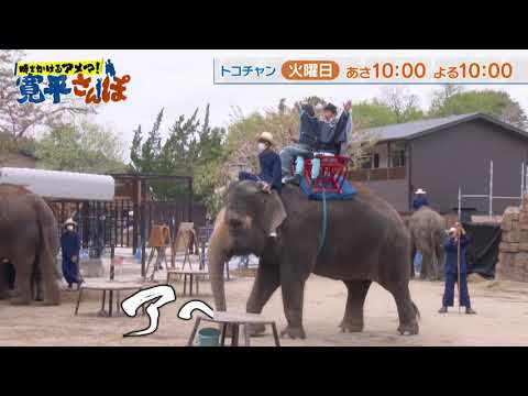 時をかけるアメマ！寛平さんぽ～千葉編～30秒動画
