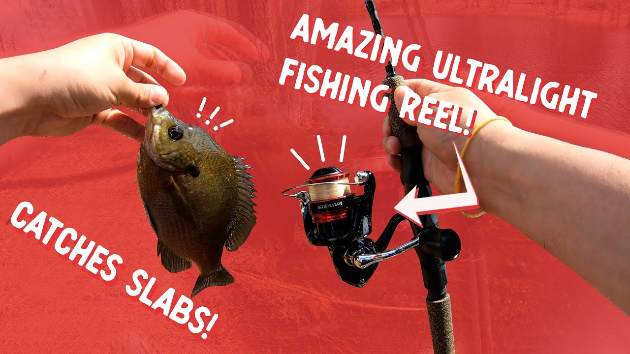 Shimano Sienna 1000 Review  This Reel Will Help YOU Catch More Fish 