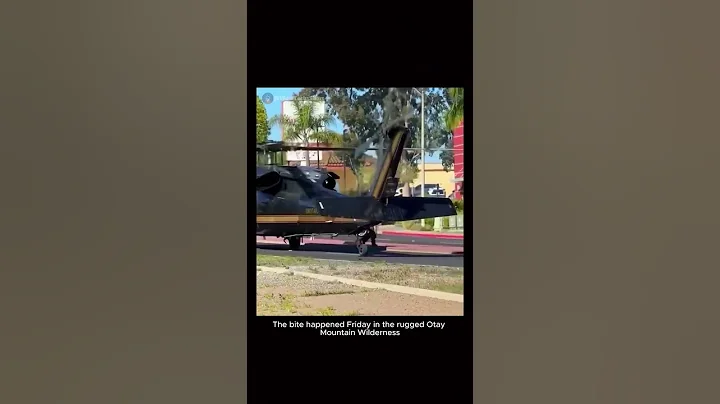 Customs helicopter lands on a city street to transport rattlesnake bitten K 9