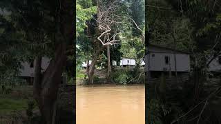 Indahnya Jeram Bechong #jeram #kayak #extremesports #lipisgeopark #pahang
