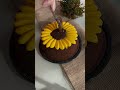 cake design #cakedecorating #cakedesign #cake #chocolatecake