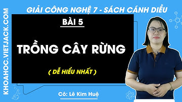 Công nghệ Lớp 7 Bài 5: Trồng cây rừng | Giải Công nghệ 7 | Cô Kim Huệ | Cánh diều (DỄ HIỂU NHẤT)