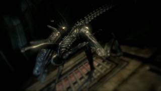 Aliens Vs Predator  Trailer Ita hd 720p