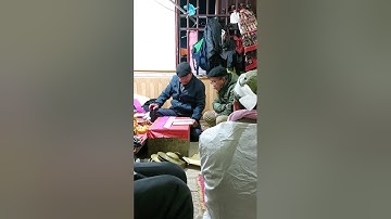 và sli tro tế cây tiền