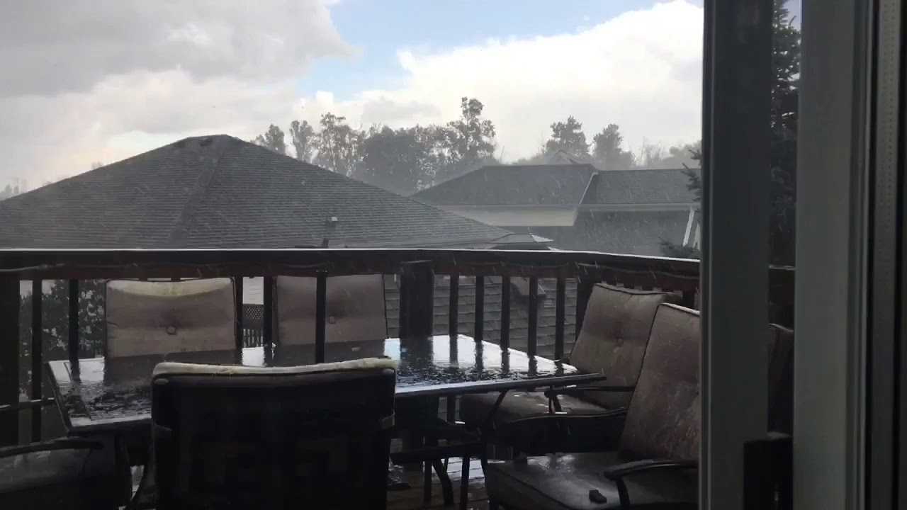 Hang on Spider! - YouTube