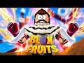 Jaugmente la puissance de mon fruit en v2 sur blox fruit  blox fruits 13