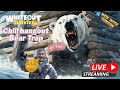 (ENG/FR) Bear Trap again? Join me live! Live Stream Q&A/Hangout - WOS With Tonton