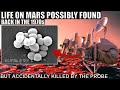 Did NASA Find Life on Mars in the 1970s But Killed It By Accident?