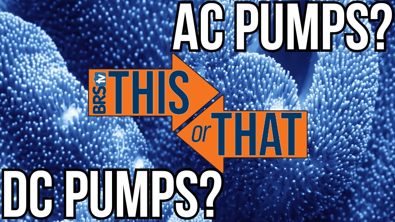DC vs AC Return Pumps for Reef Tanks – What’s Best for Your Build?