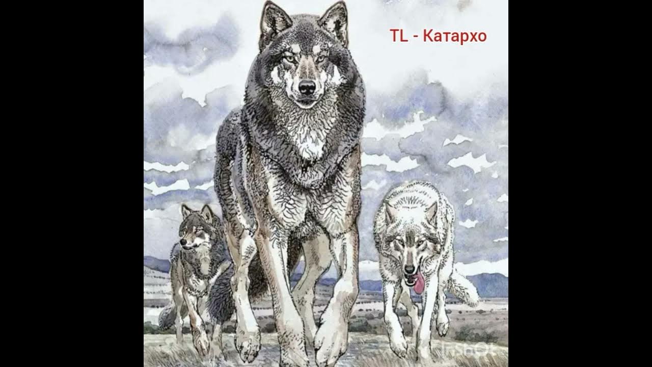 Лобо и Бланка
