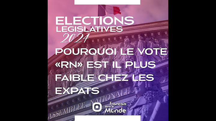 Elections Législatives 2024 : Pourquoi le vote RN est il plus faible chez les expats ?