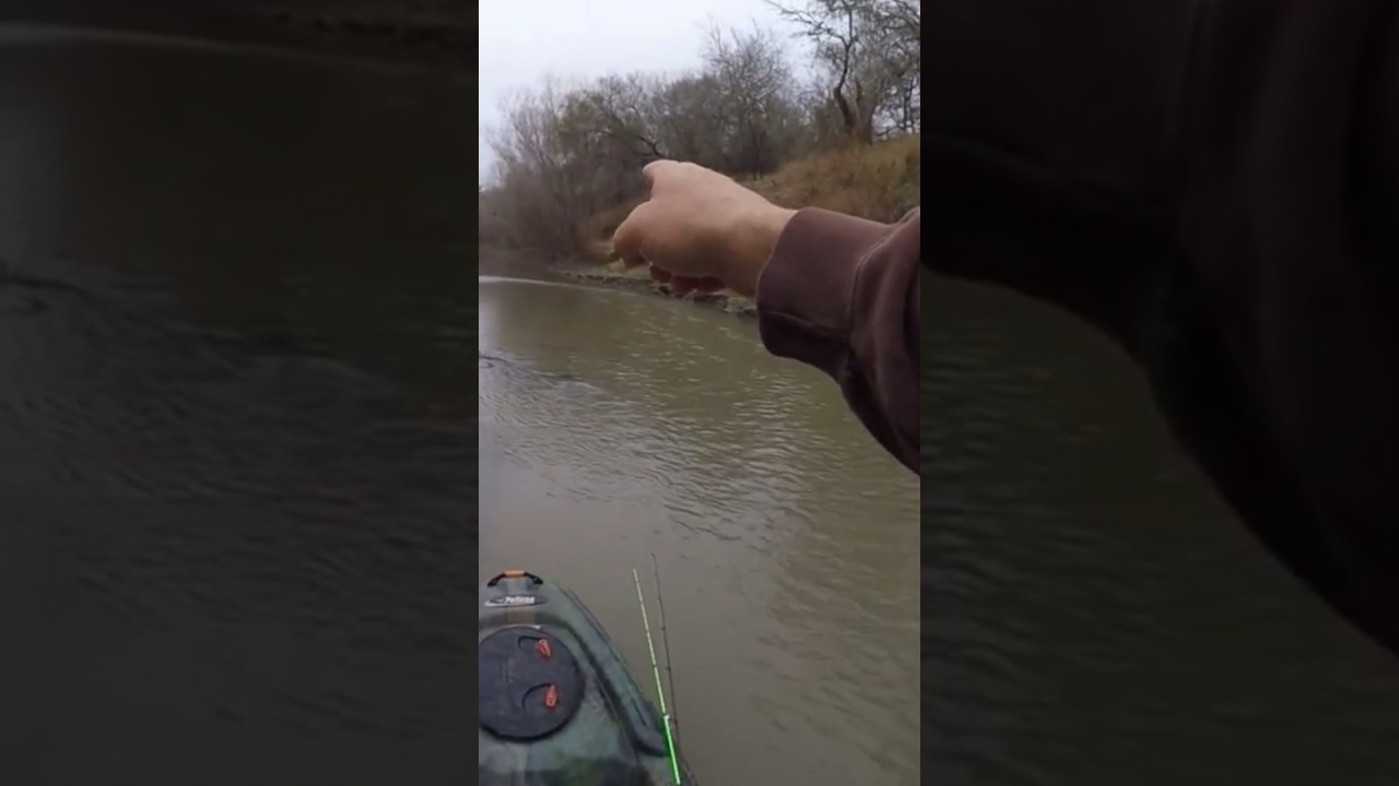 How to Find White Bass! 🐟 😯 👀 🚤