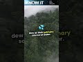 10 Mesmerizing Facts About Dew | KNOW iT