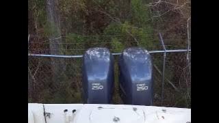 20170105 131712 88254676344158