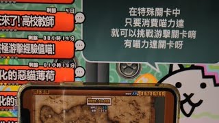 「Brook貓咪大戰爭研究社」正在直播！週末打貓 收集材料