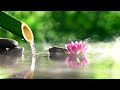 Música Curativa y Fuente De Agua De Bambú: Relajarse, Regenerar Energía, Restaurar La Salud