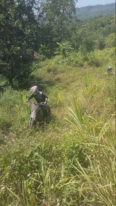 Download lagu penting bahagia ,