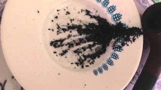 Geriye Bıraktıklarımız.