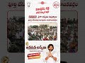 🔥✊️50000+ and counting..పవన్ కళ్యాణ్ అడ్డా!!#JanasenaUdyami #pithapuram #janasenaparty💥