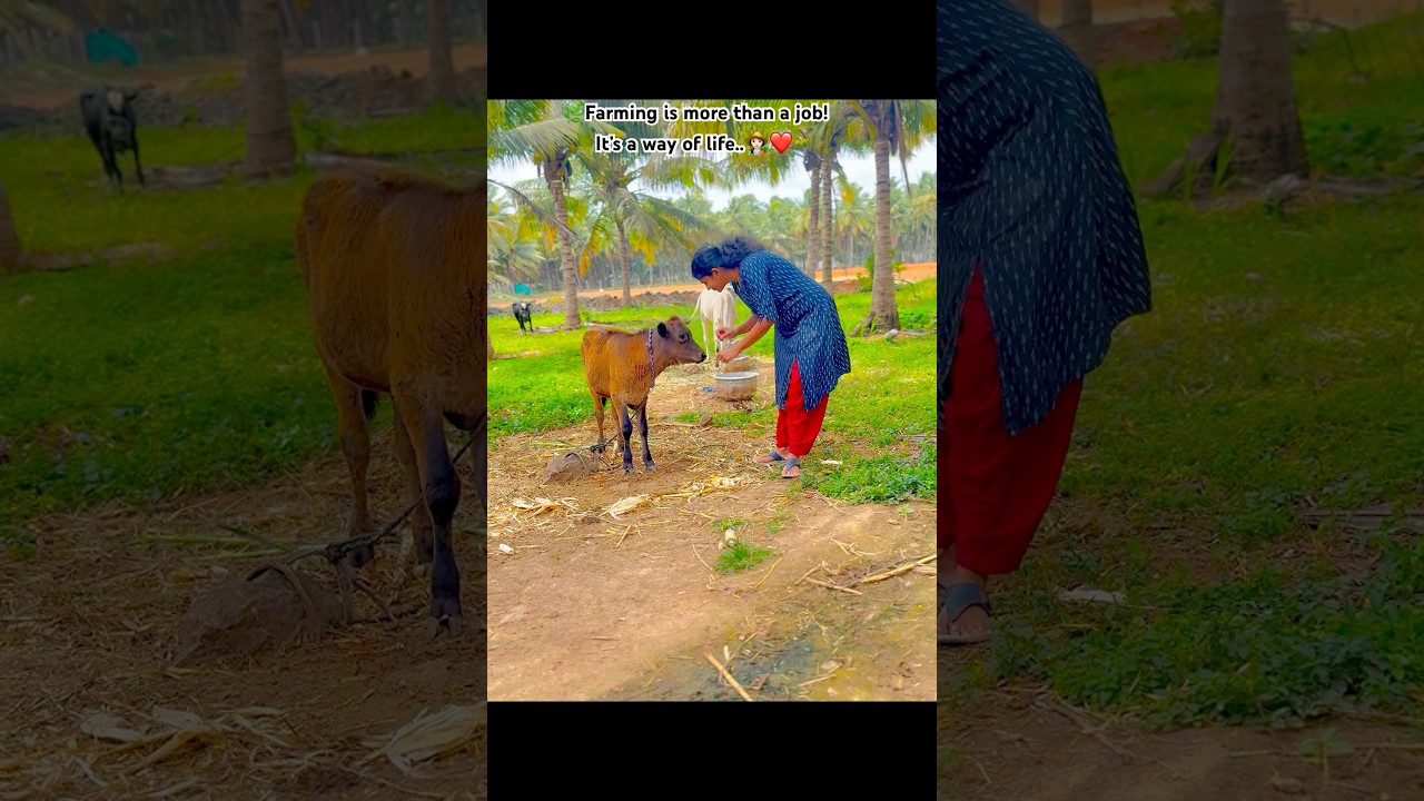 🌿Minivlog ~ 😜Is it true?? 