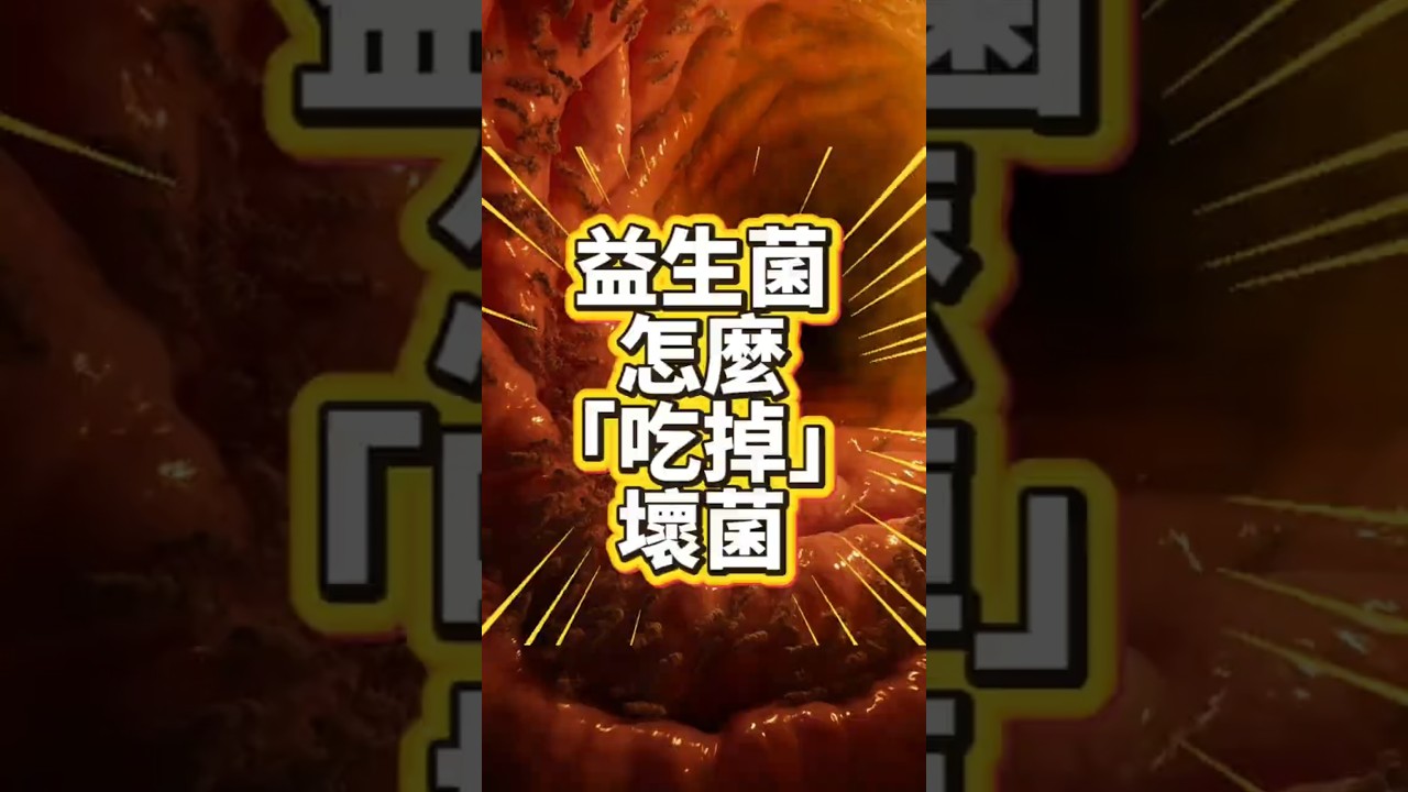 腸道100兆細菌大戰！益生菌這樣吃掉壞菌