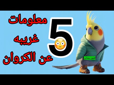 5 معلومات لا تعرفها عن الكوكتيل