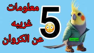 5 معلومات لا تعرفها عن الكوكتيل ?