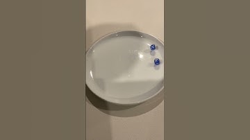 Day 1 of rolling dice until I get a double six #shortvideo #shorts #daily