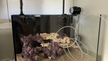 Het UNS R90 Reef Aquarium nat maken en apparatuuroverzicht