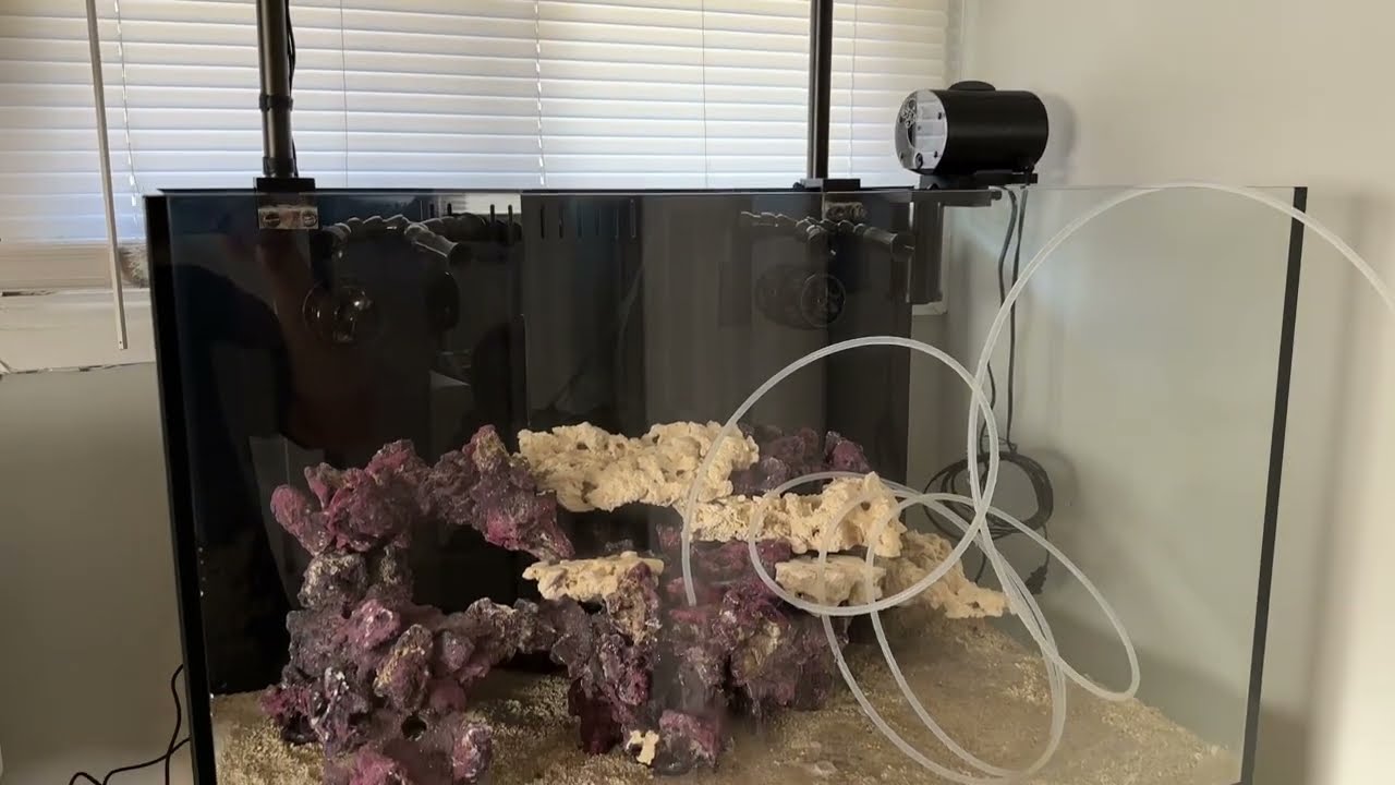 Обзор оборудования и подготовки рифового аквариума UNS R90