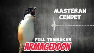 Masteran Cendet Armageddon Full Tembakan Jernih Mudah ditiru