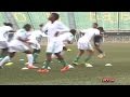 Falconets soaring Namibia