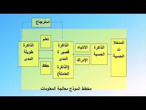 فيديو: متى تم تطوير نظرية معالجة المعلومات؟