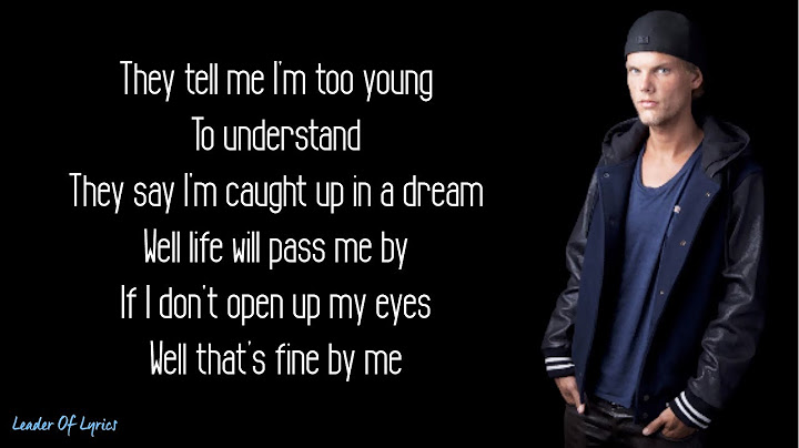 So wake me up when its all over lyrics