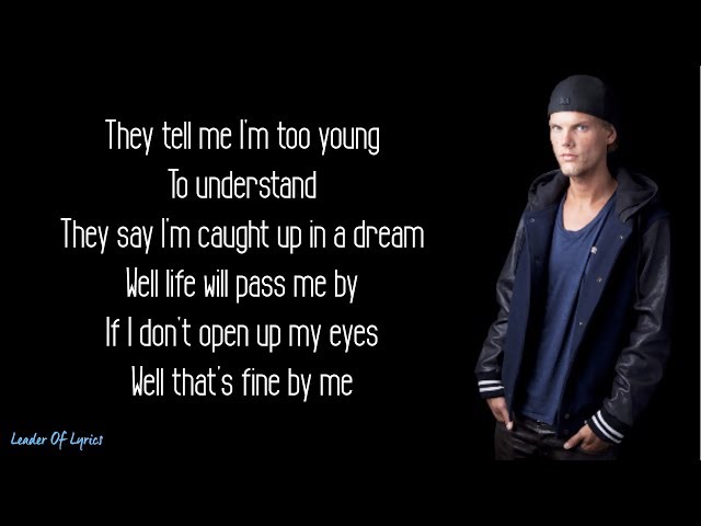Avicii - WAKE ME UP (Lyrics) class=