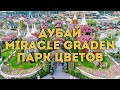 VLOG: Дубай/ Парк цветов Miracle Garden, часть 1/Куда сходить, что посмотреть в Дубае