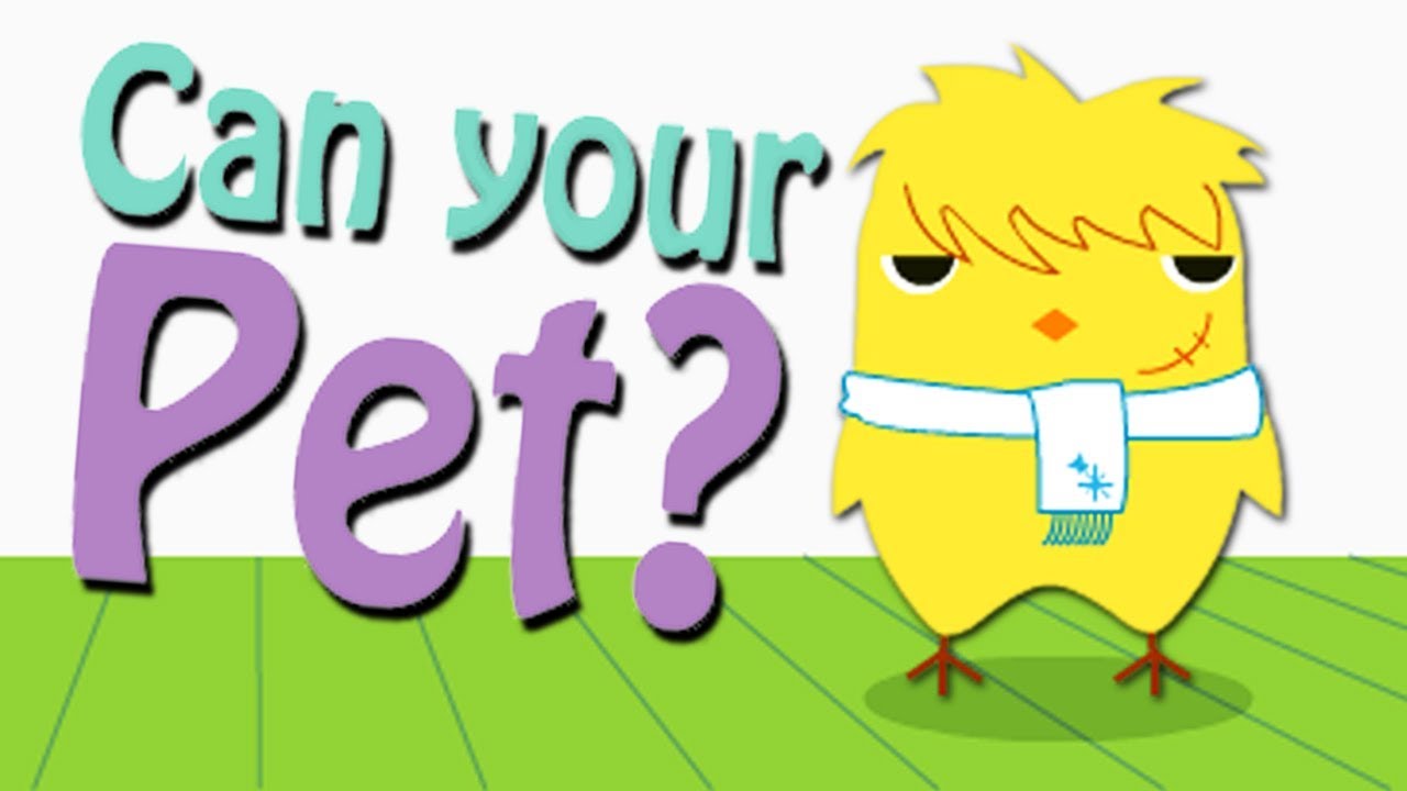 Gameplay 055 Can Your Pet YouTube 