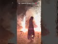 Diwali Festival Music Video Diwali Festival Music Video