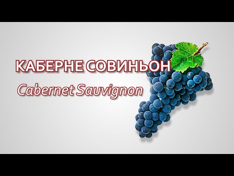 ვიდეო: კაბერნე ყურძენი: ჯიშის აღწერა, მახასიათებლები და მოვლა