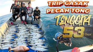 TRIP PECAH TONG 53 EKOR TENGGIRI -Tuas Yas Perlis