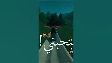 مهرجان انا قلت ابويا عليكي 