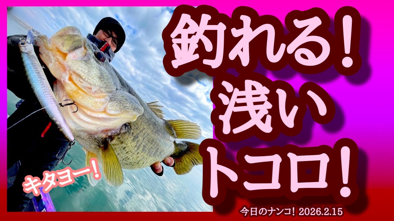 【今日のナンコ！2026.2.15】釣れる！浅いトコロ！【琵琶湖バス釣り】