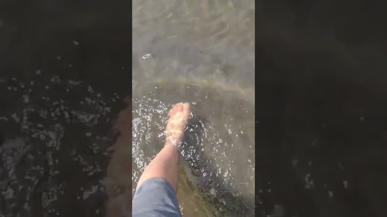 Playa El Esteron, Intipuca 